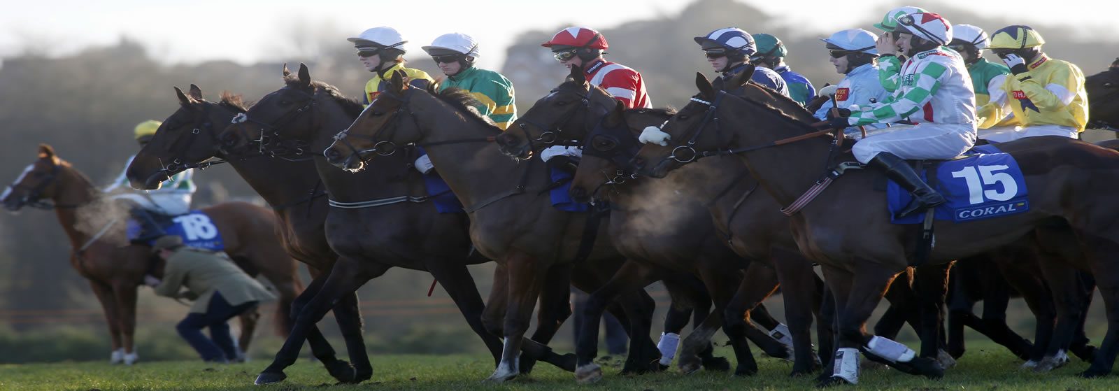 Home The British Horseracing Authority