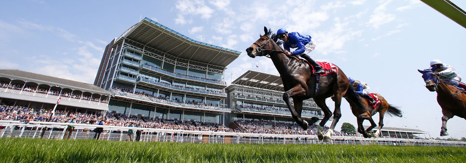 Home The British Horseracing Authority