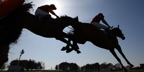 WONDERFUL CHARM | British Horseracing Authority