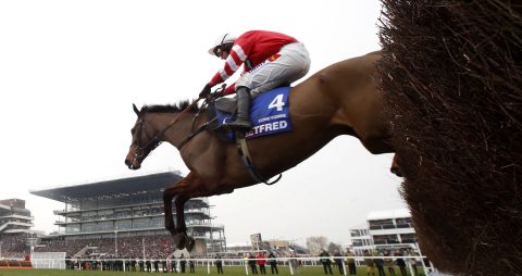 Coneygree