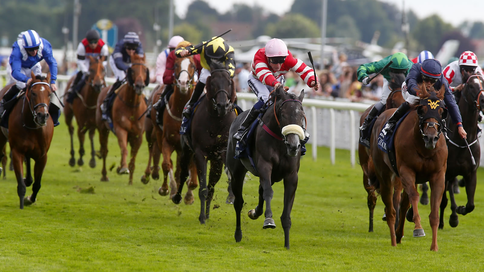 Yorkshire’s Finest | British Horseracing Authority