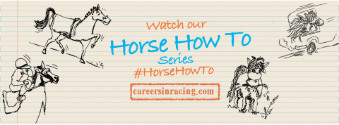 horsehowto-banner