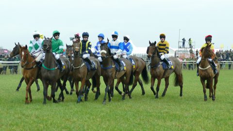 point to point runners and riders in Britain getting ready to start the race