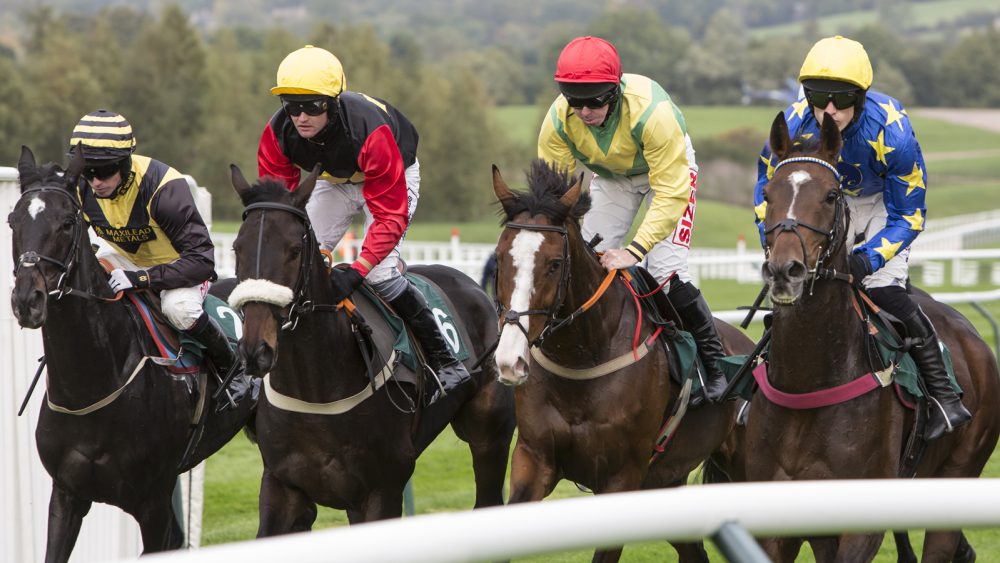 Race planning British Horseracing Authority