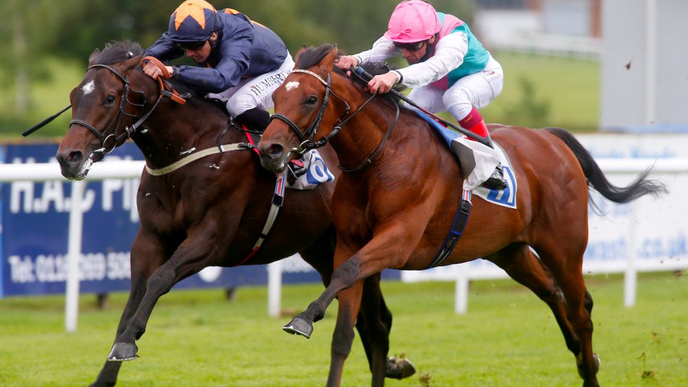 Westerland and Frankie Dettori winning The British Stallion Studs EBF Maiden Stakes (div I) from Hey Gaman Leicester 30.5.17 Pic Dan Abraham-focusonracing.com