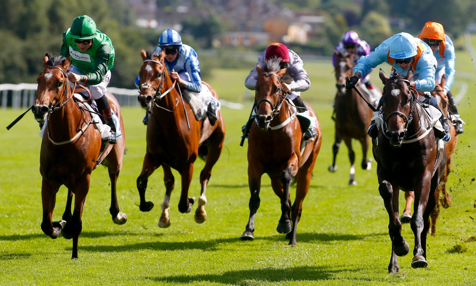 best horse racing handicappers