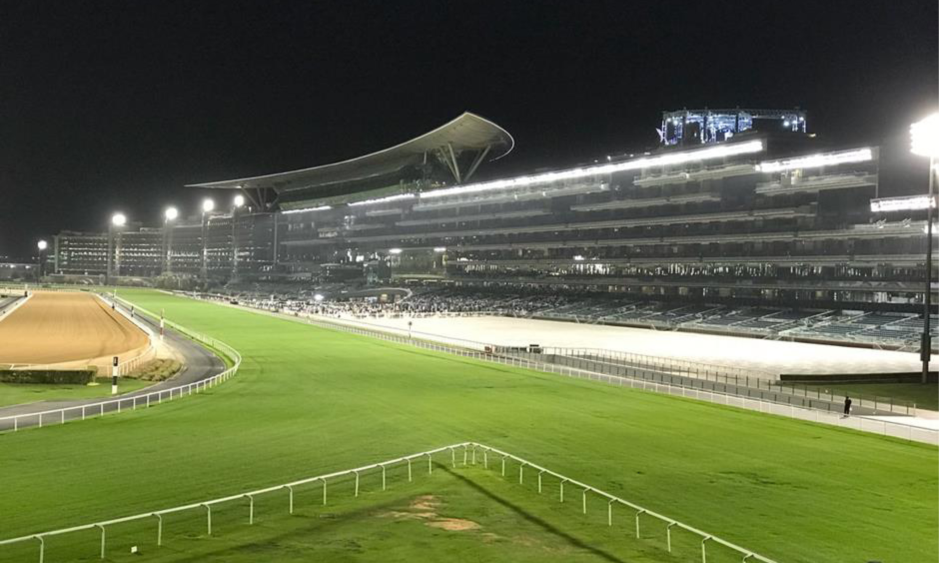 Meydan racecourse betting bitcoin created by ai