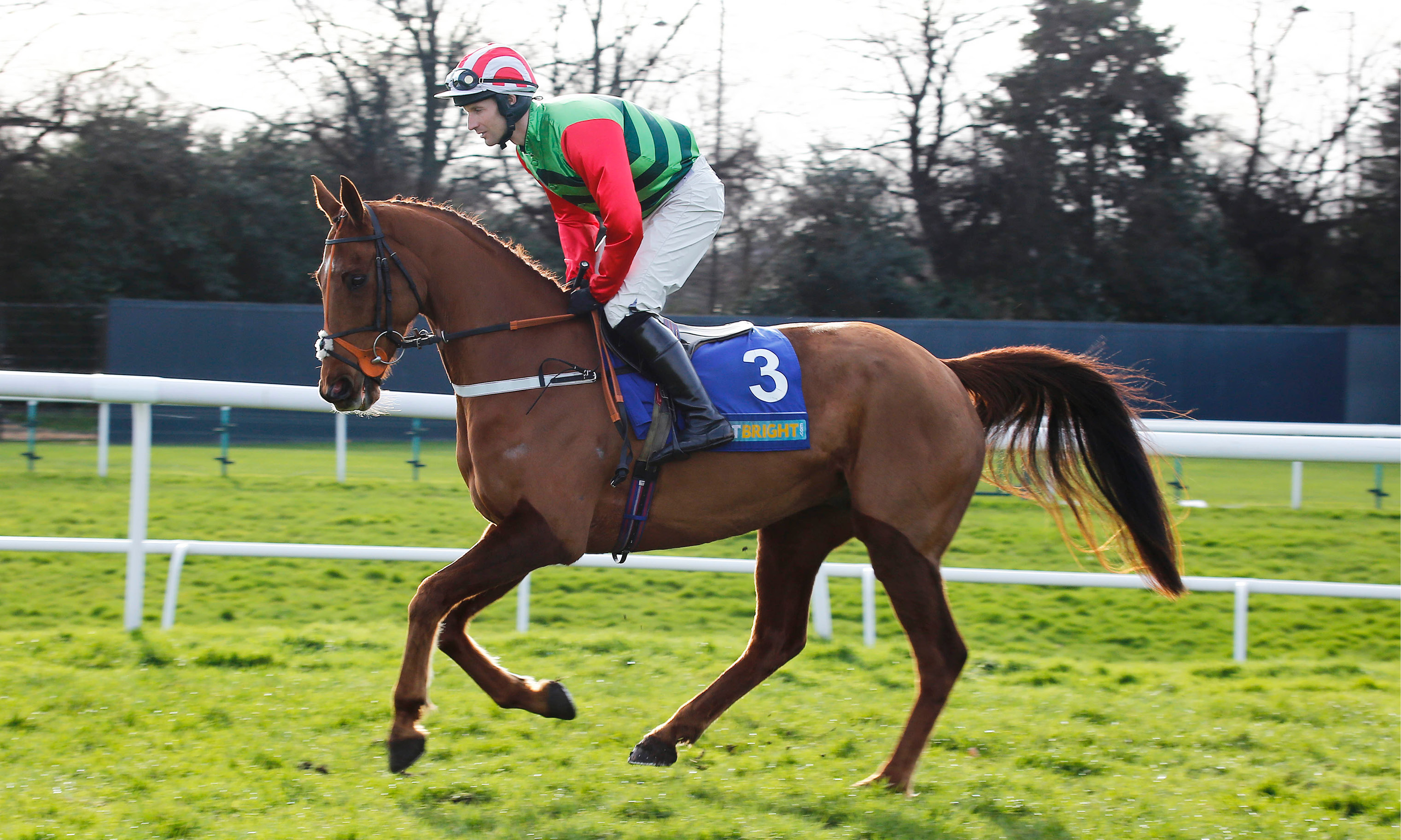 Red different from some recent top weights in Randox Health Grand National | Head of Blog - The Horseracing Authority