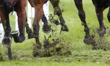 | British Horseracing Authority