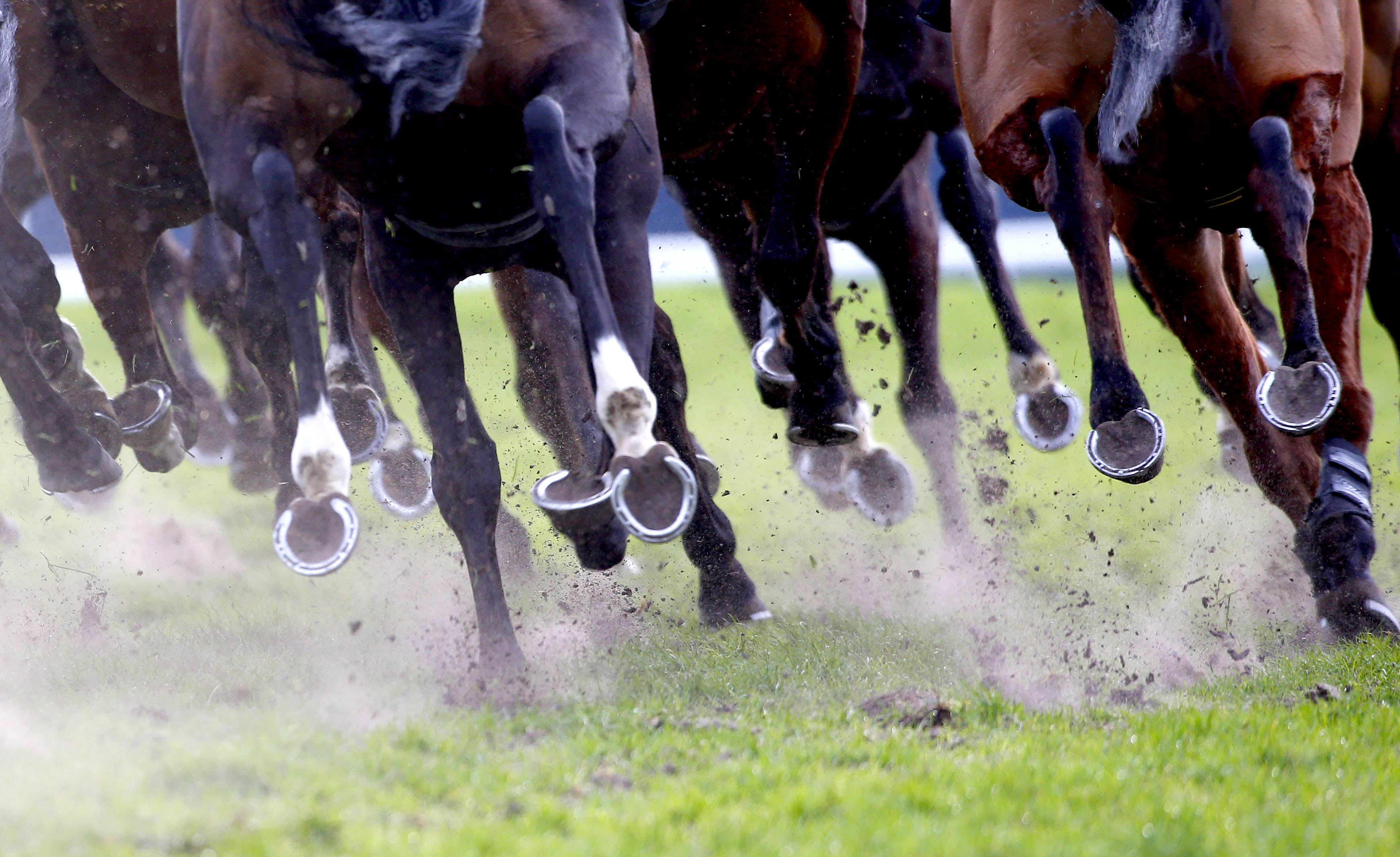 Trial announced for innovative new ‘hybrid’ race | British Horseracing ...