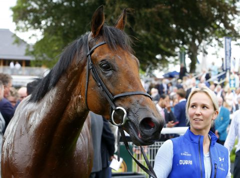 Old Persian after winning The Sky Bet Voligeur Stakes