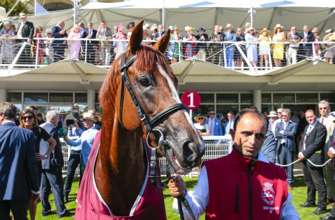 Goodwood Festival