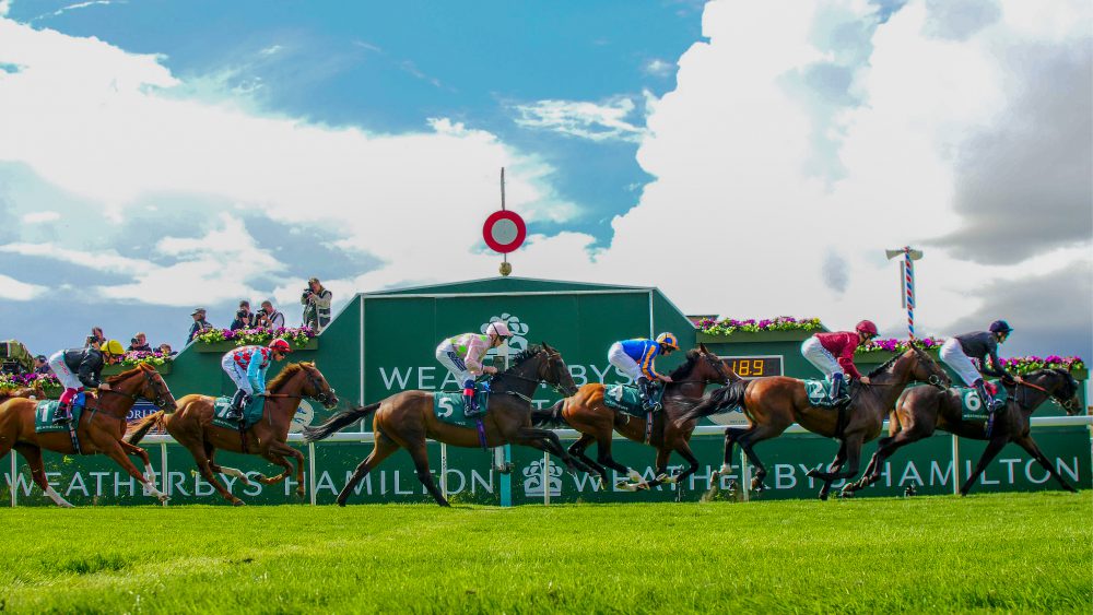 The field pass the post first time The Weatherbys Hamilton Lonsdale Cup Stakes (Group 2) (British Champions Series) York 24/8/2018