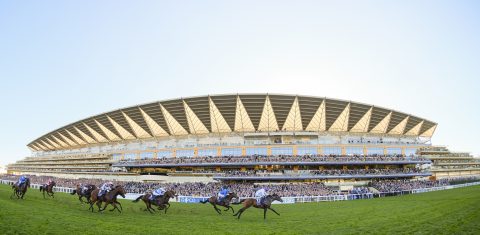 Equine, horseracing, British Champions Day, Ascot