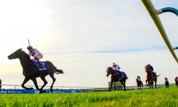 Newmarket, horses, equine, horseracing, Dubawi, Andrew Lloyd Webber