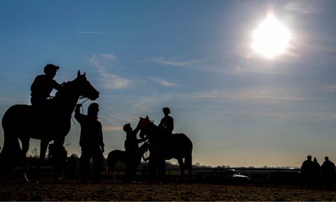 All Weather, Transparent Entry, Declaration, Trainer, Horseracing, Fixture, All-Weather, Racecourse