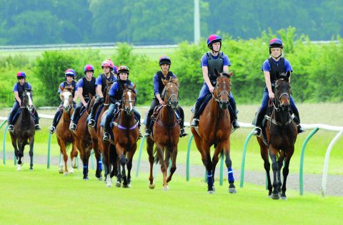 British Racing School, Equine, Horseracing, Student, Safeguarding, British Horseracing Authority