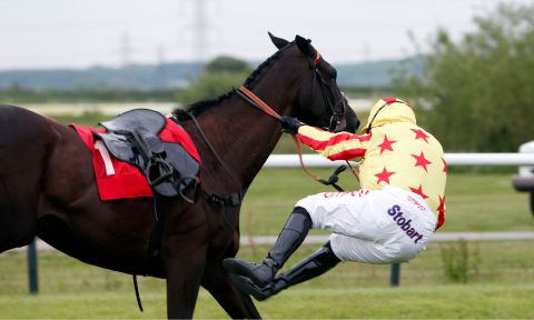 British Horseracing Authority, BHA, Rider, Safety, Jockey, Fall, Equine, Injury, University of Sydney, University College Dublin