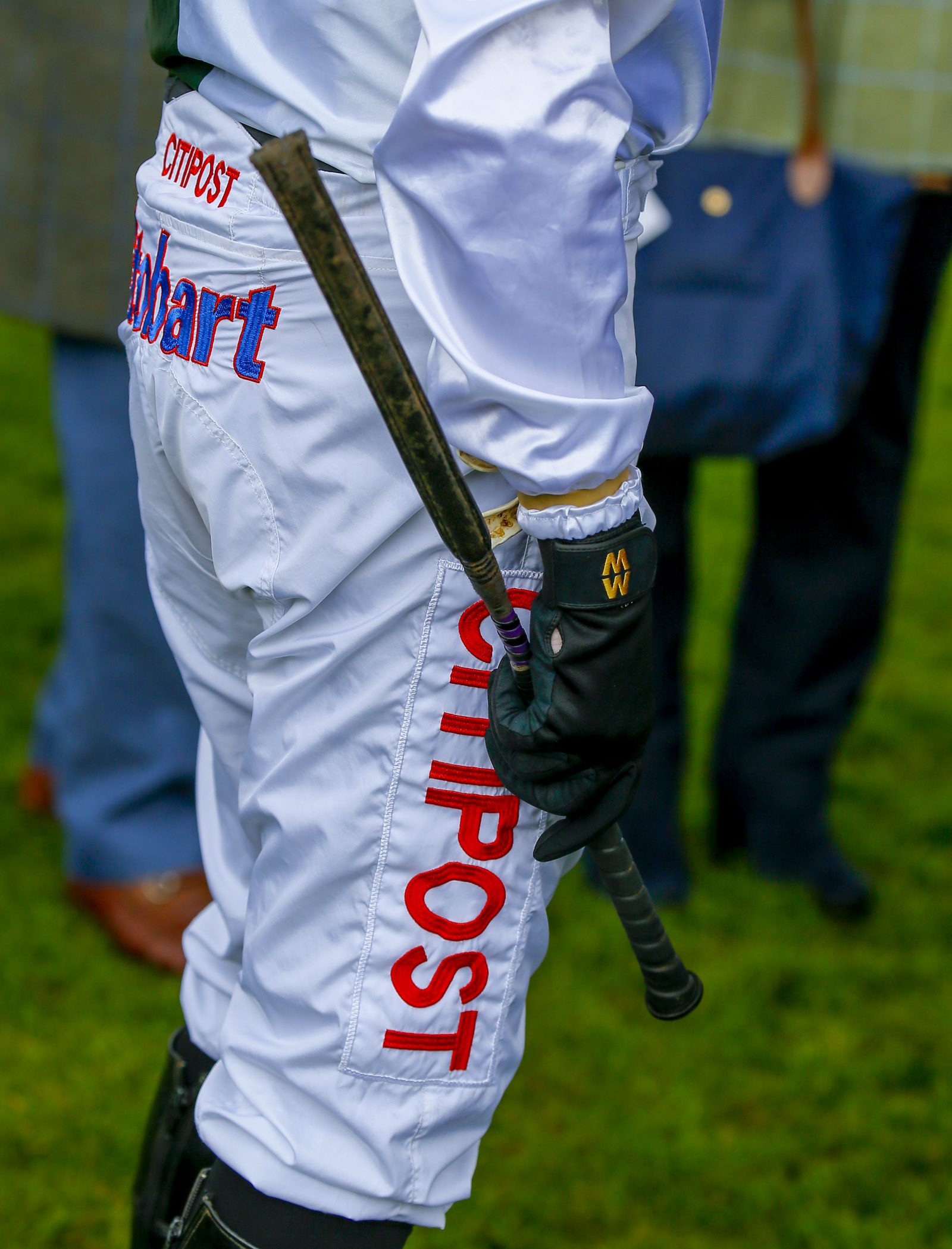 British Horseracing Authority The whip in British horseracing