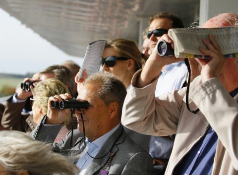 Public Enquiry, horseracing, british horseracing, enquiries, BHA, racing, equine, crowd