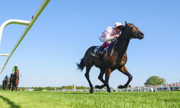 British Racing, Flat Racing, Best Two Year Old, Fast Horse,Flat Racing, British Sport, Summer Sport, British Summer, Newmarket