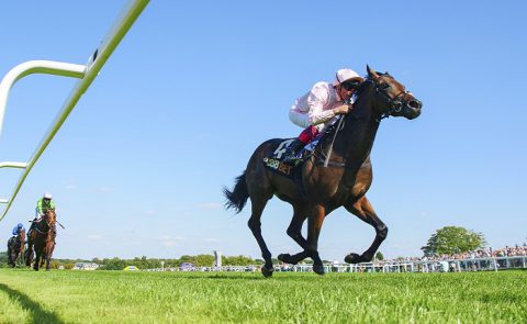 British Racing, Flat Racing, Best Two Year Old, Fast Horse,Flat Racing, British Sport, Summer Sport, British Summer, Newmarket