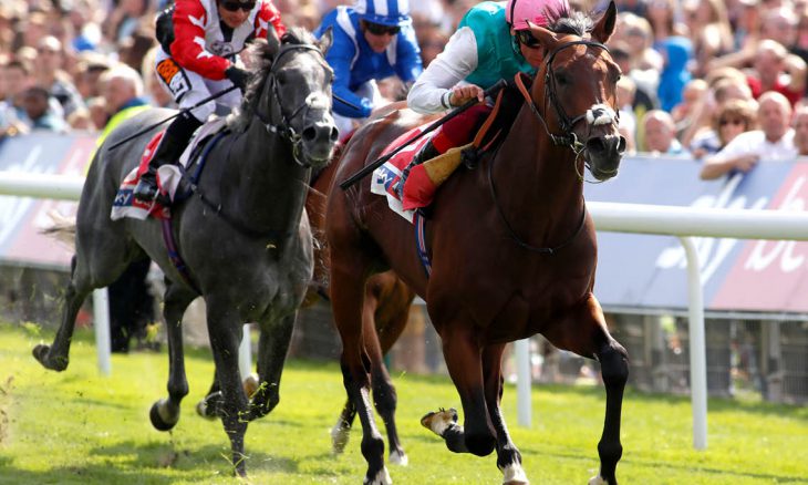 British horseracing authority authorised betting partner investing the pyramid the history of football tactics guide