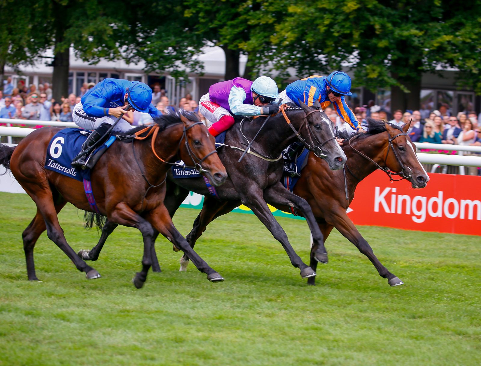 Digital Transformation in Horse Racing: Bridging the Accessibility Gap Digital Transformation in Horse Racing: Bridging the Accessibility Gap