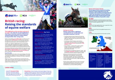 British Horseracing Fact Sheet, Horseracing, horse racing, horse facts, British Sport, Sport Facts