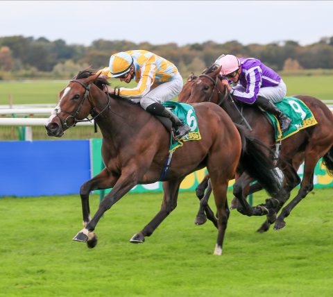 Pretty Gorgeous -Shane Crosse wins The bet365 Fillies' Mile (Group 1) (Class 1) (2yo) Newmarket