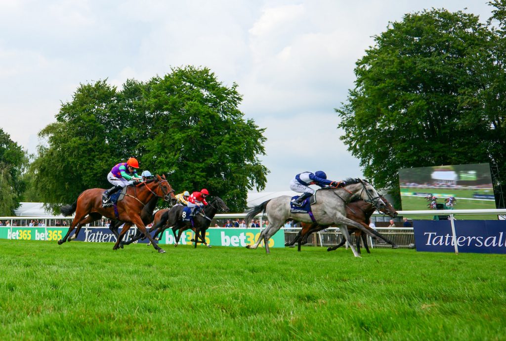 Snow Lantern wins the Tattersalls Falmouth Stakes