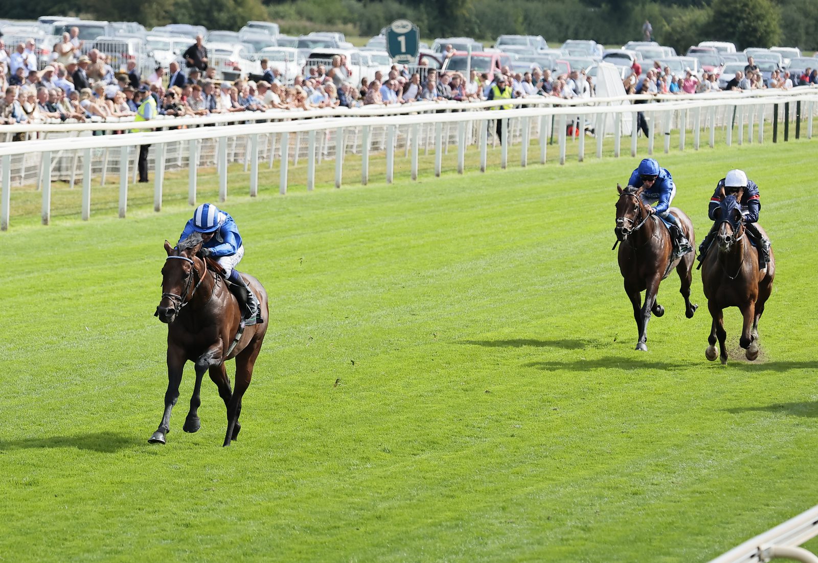 Baaeed – the best since Frankel? | British Horseracing Authority