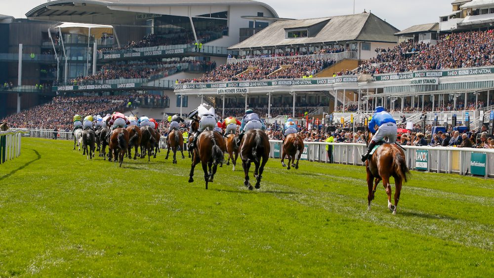 Horses at the finish of a race at Aintree Racecourse