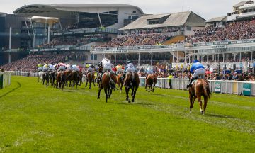 Horses at the finish of a race at Aintree Racecourse