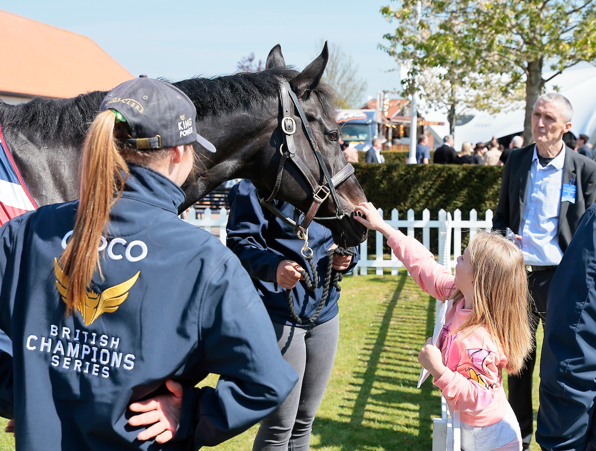 Horse Welfare and Safety is the priority in British Racing | British ...