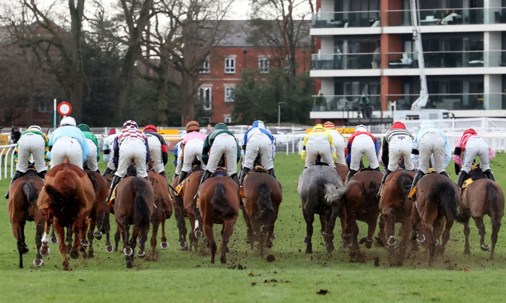 Racecard | British Horseracing Authority